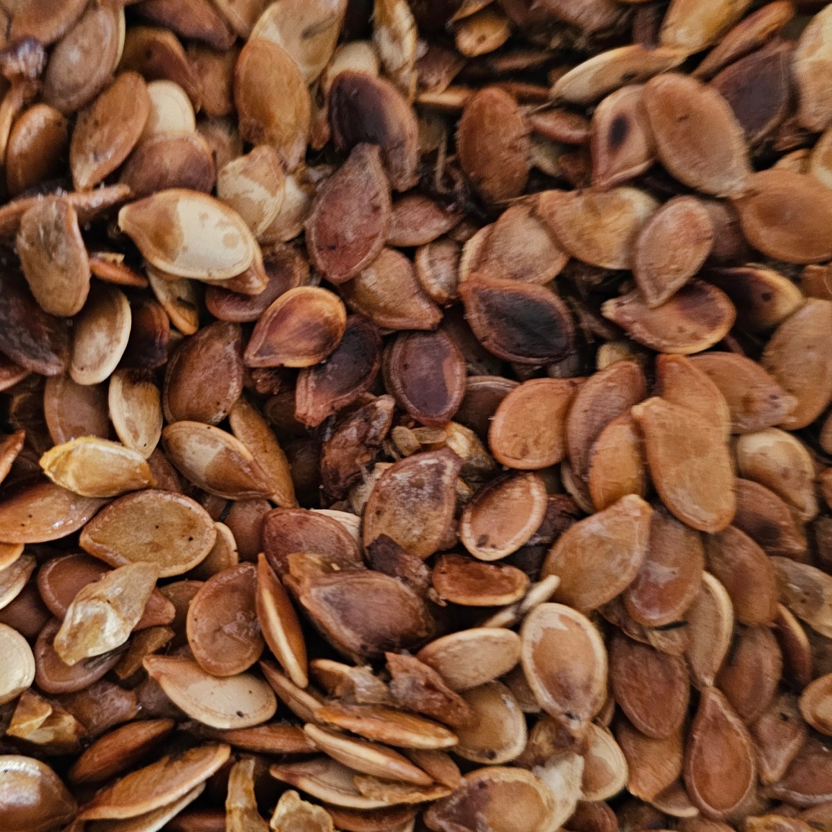 Fried pumpkin seeds